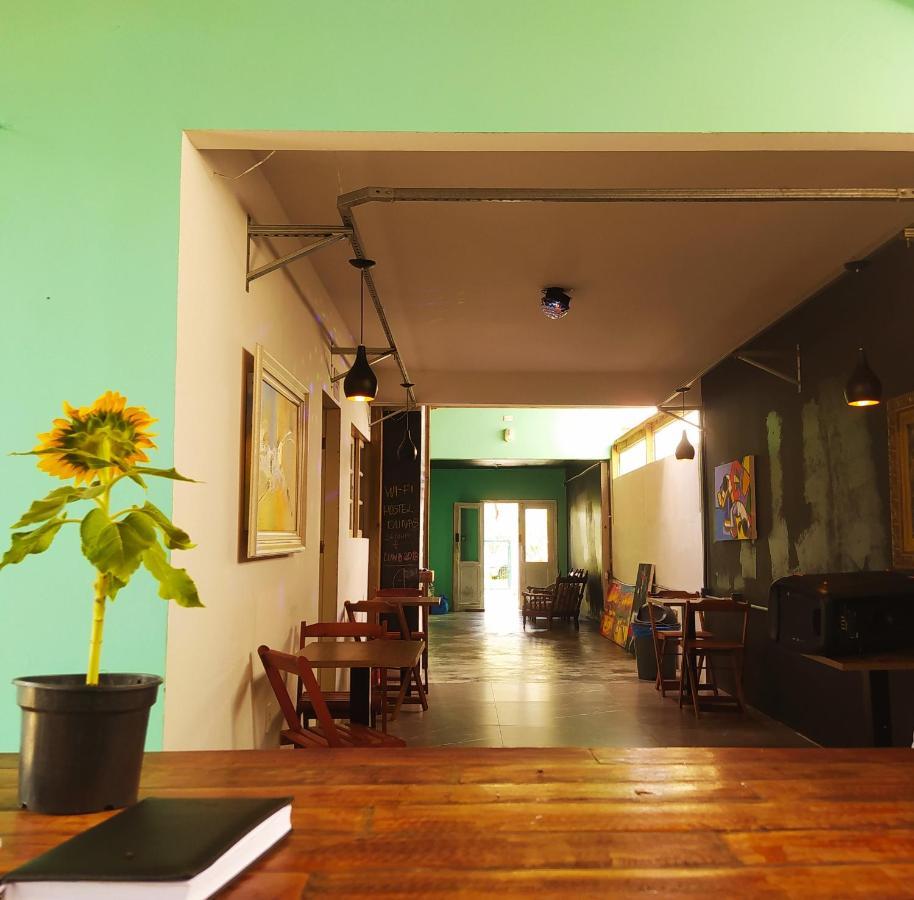Hostel Dunas Do Santinho Флорианополис Экстерьер фото